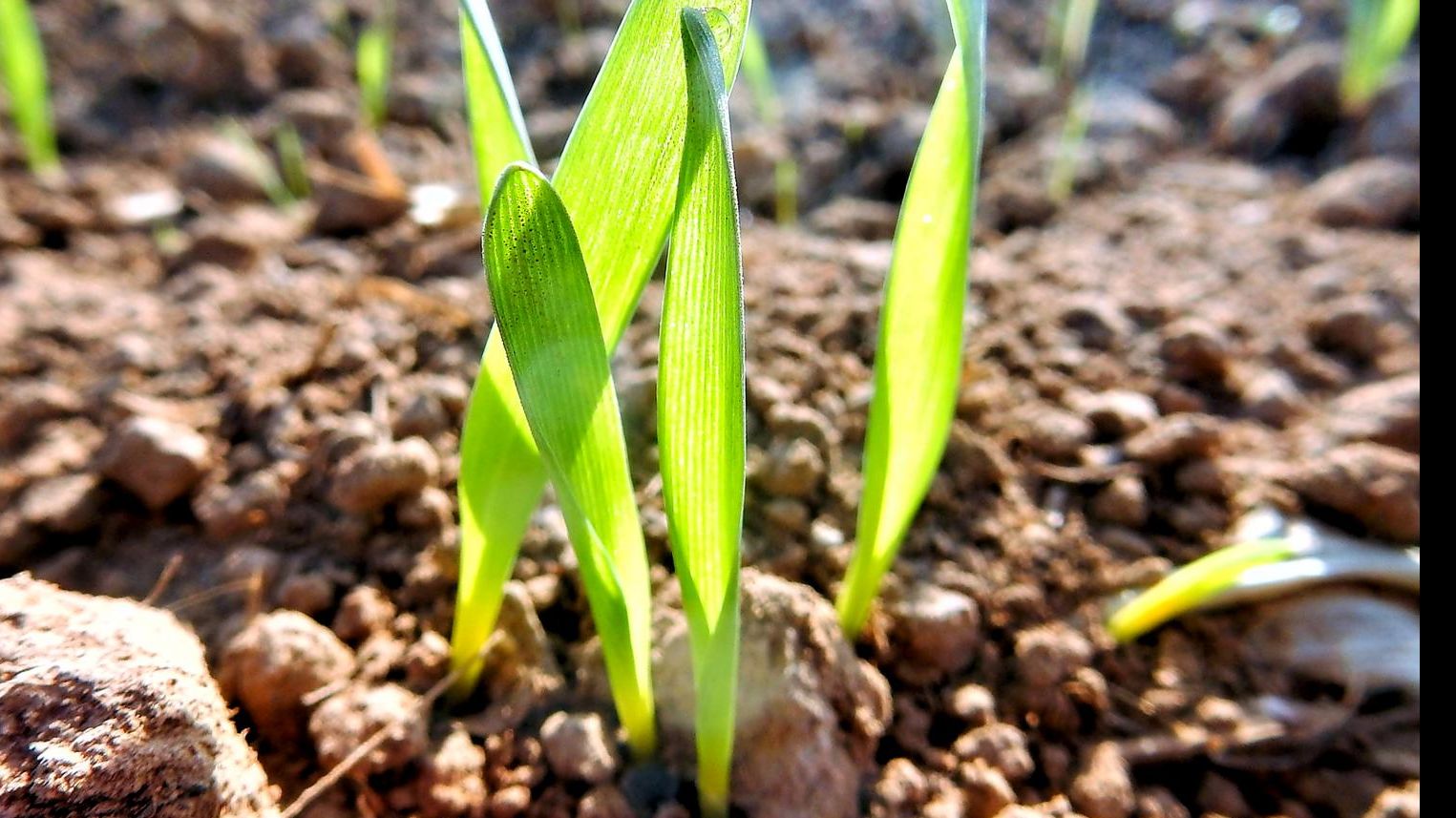 Familiengottesdienst
