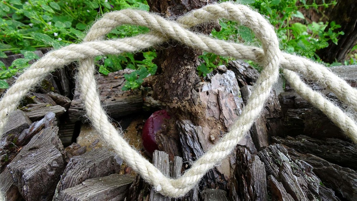 Man sieht nur mit dem Herzen gut...