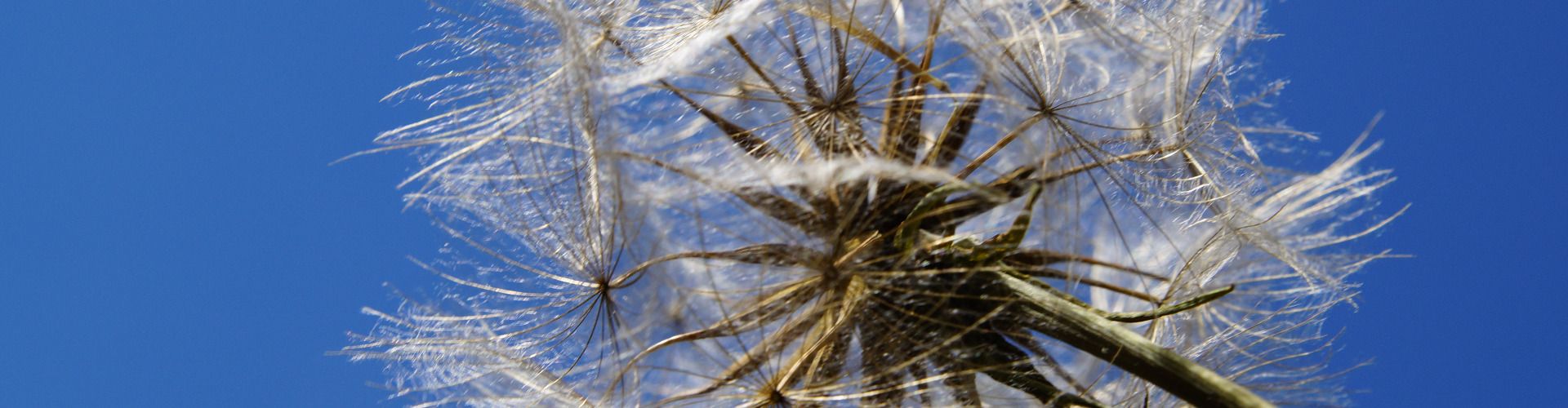 © Bildrechte Pfarrei St. Elisabeth Lehnerz