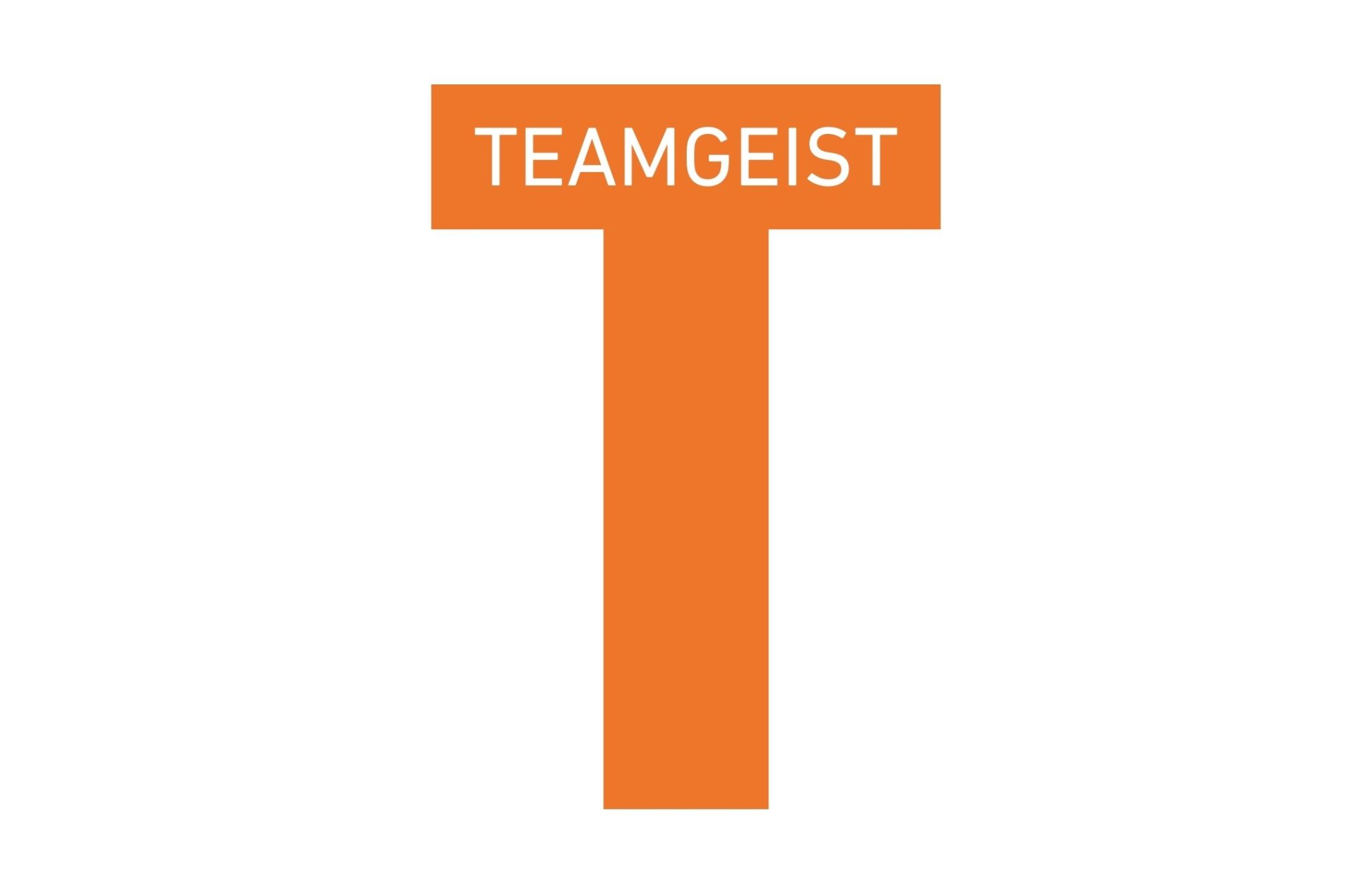 TEAMGEIST