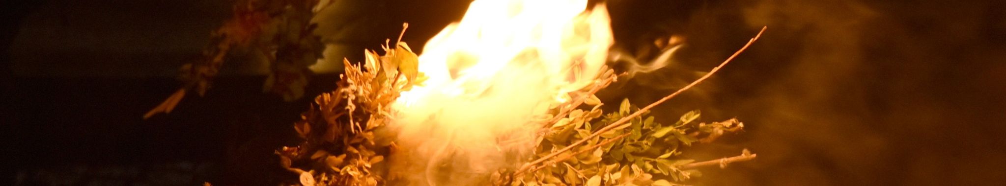 © W. Möller, Verbrennen der Palmzweige