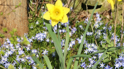 © K. Gruber, Besinnung in der Fastenzeit