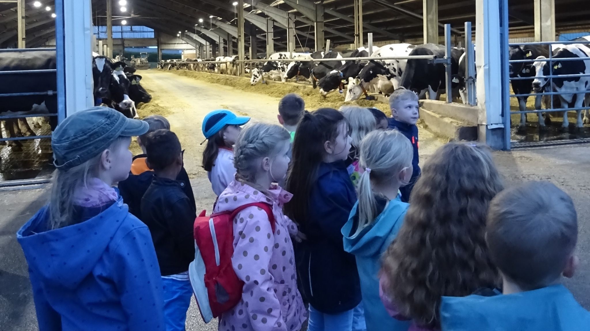 Ausflug der Schulanfänger