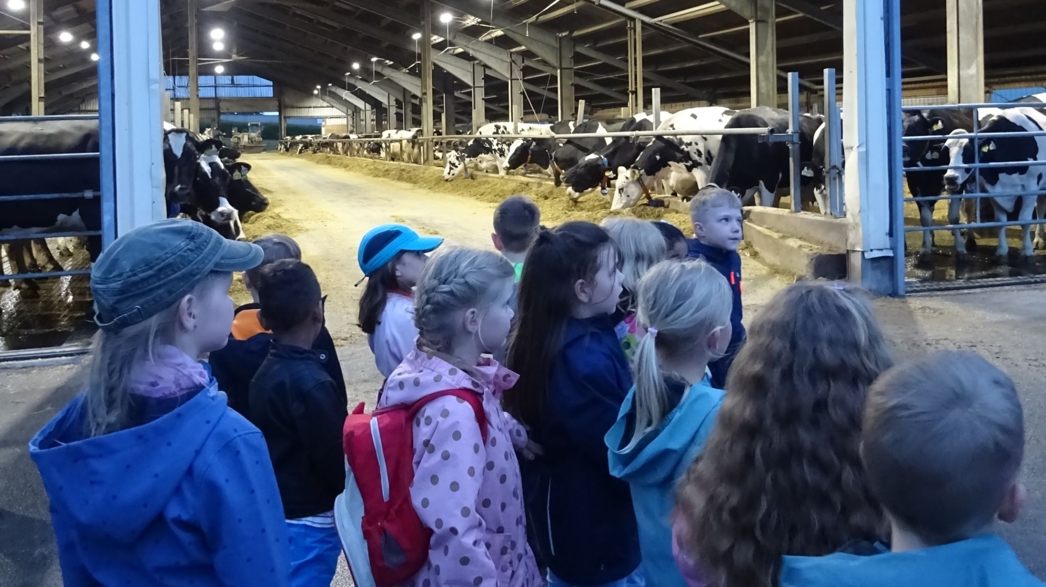 Ausflug zu Milchbetrieb Hilpert