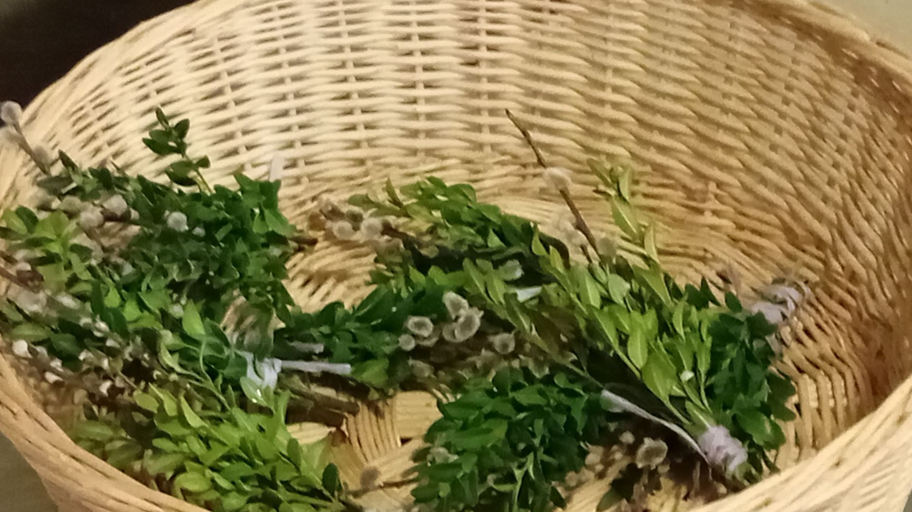 Palmsonntag Steinhaus