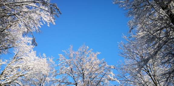 Pfarrgemeinde St. Lioba