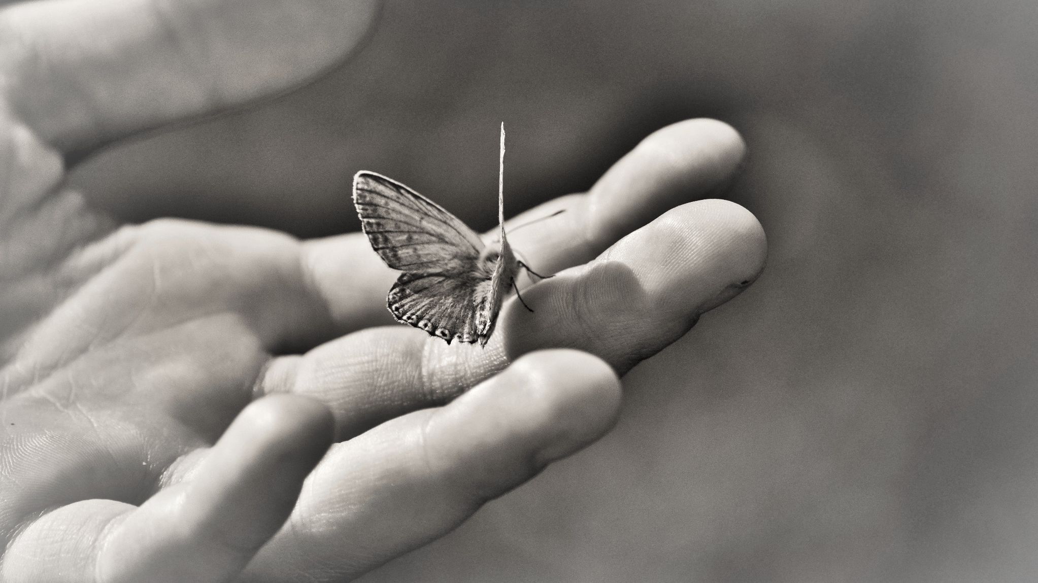 Termine & Bekanntgaben