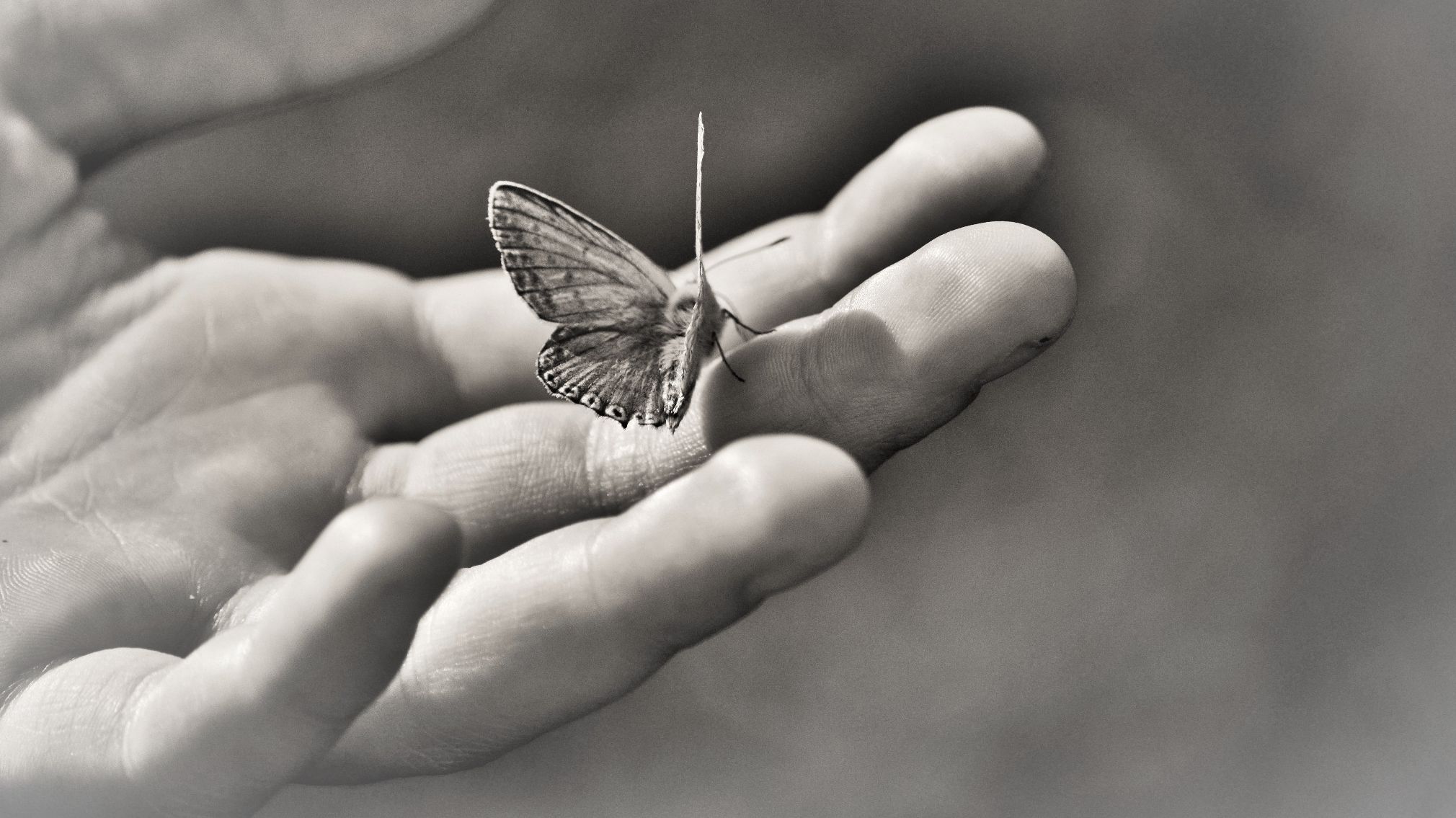 Termine & Bekanntgaben