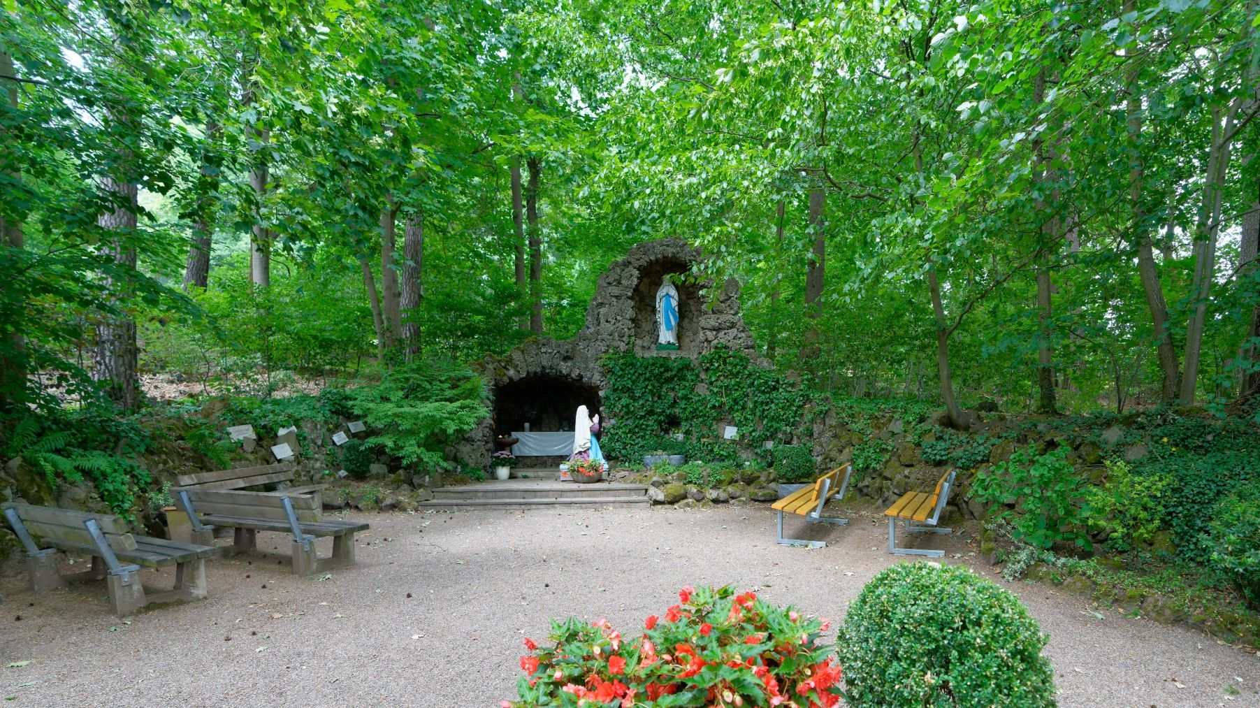 Termine & Bekanntgaben