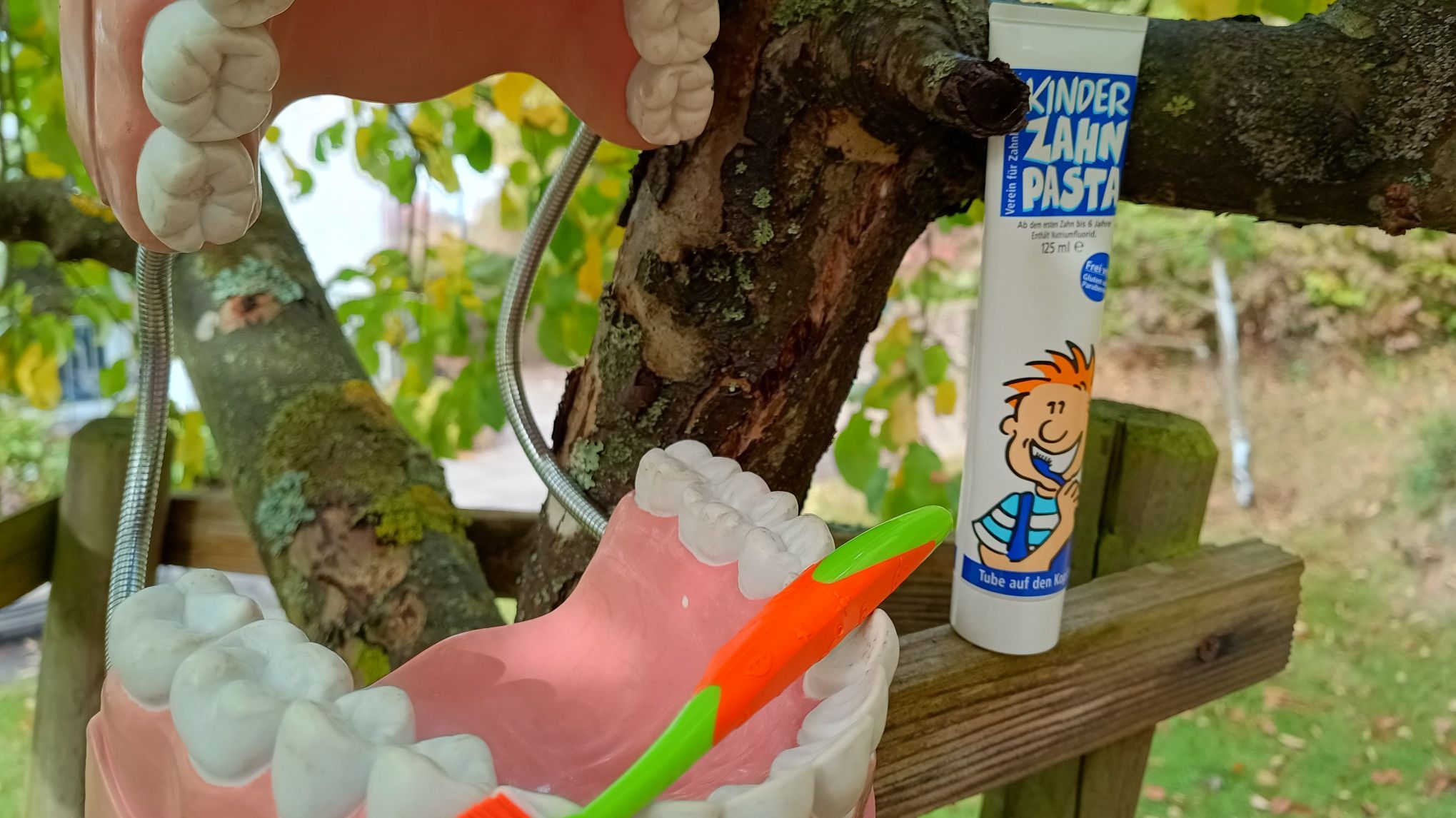 Besuch vom Patenschaftszahnarzt