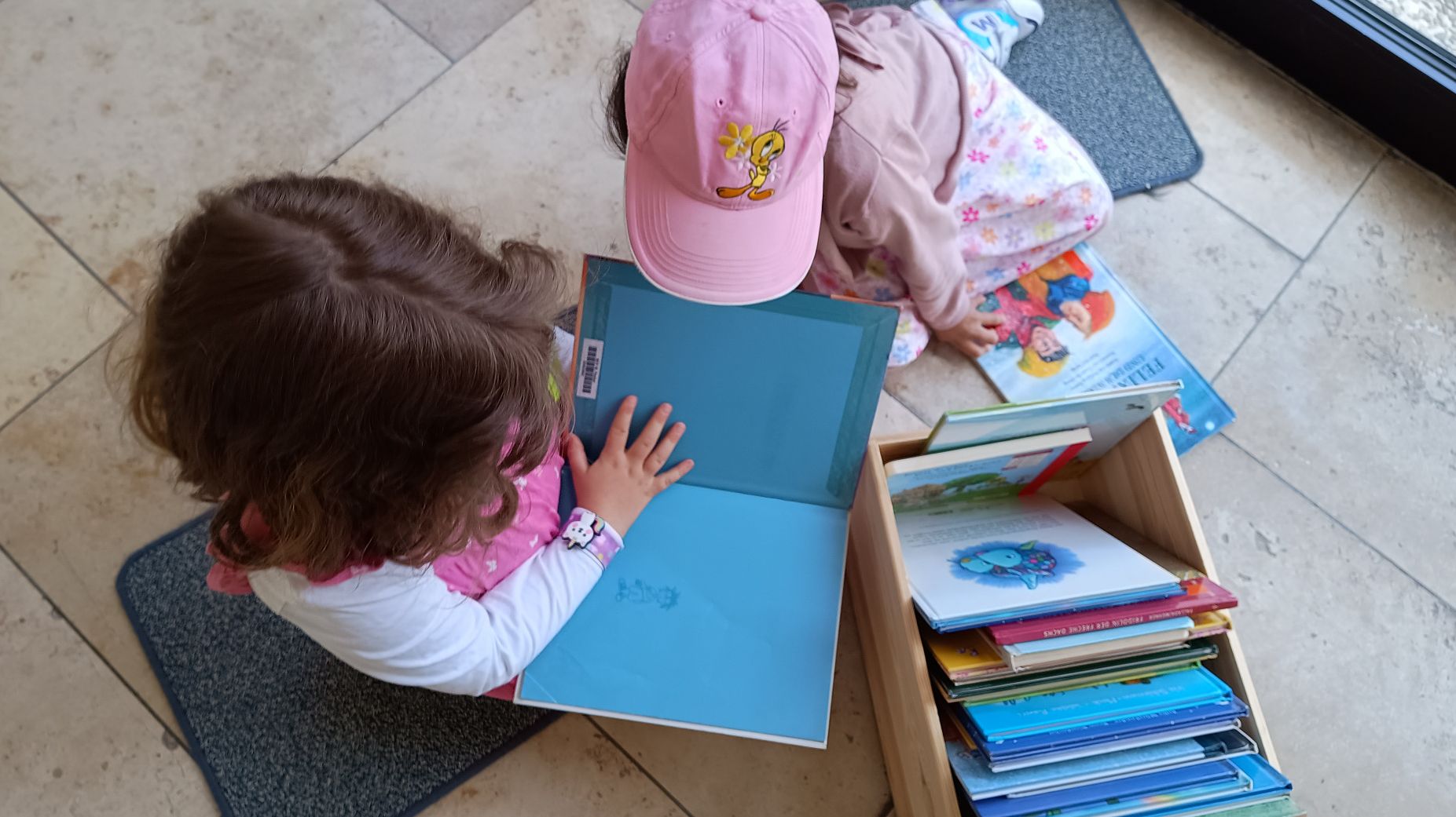 Büchereiführerschein