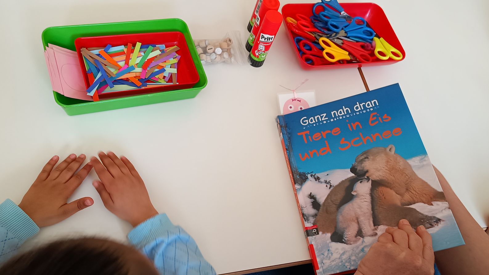 Büchereiführerschein