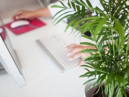 Pfarrbüro und Kontaktstellen